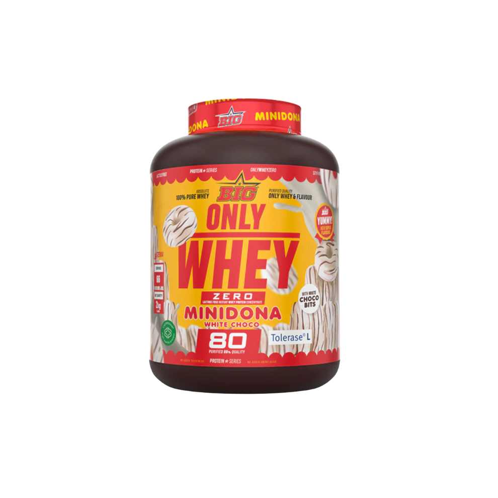 BIG PROTEÍNA WHEY ONLY WHEY 2KG