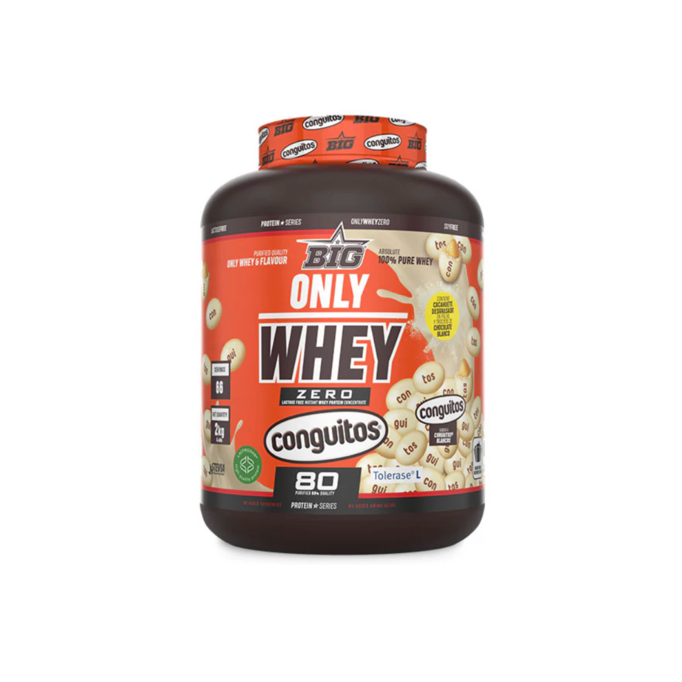 BIG PROTEÍNA WHEY ONLY WHEY 2KG