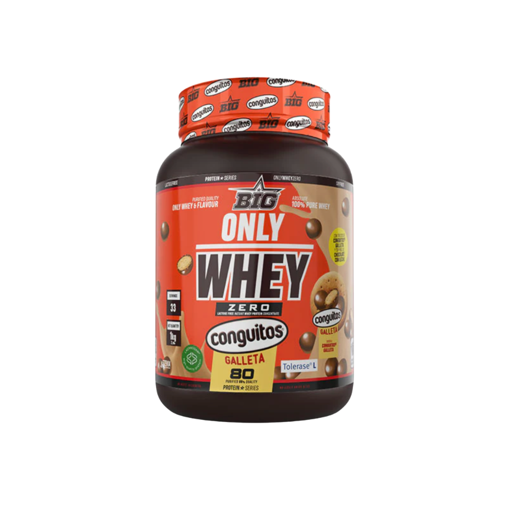 BIG PROTEÍNA WHEY ONLY WHEY 1KG