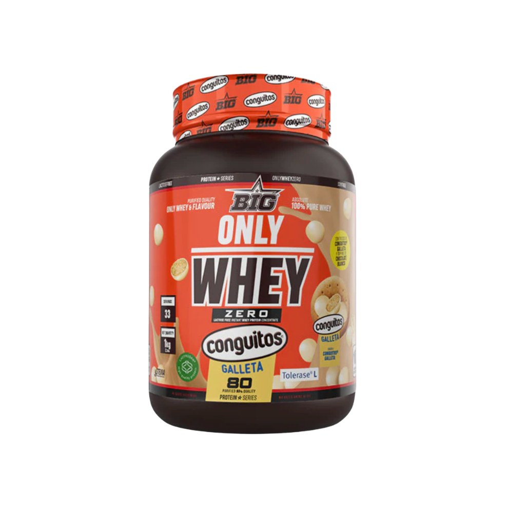 BIG PROTEÍNA WHEY ONLY WHEY 1KG